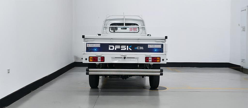 eC31