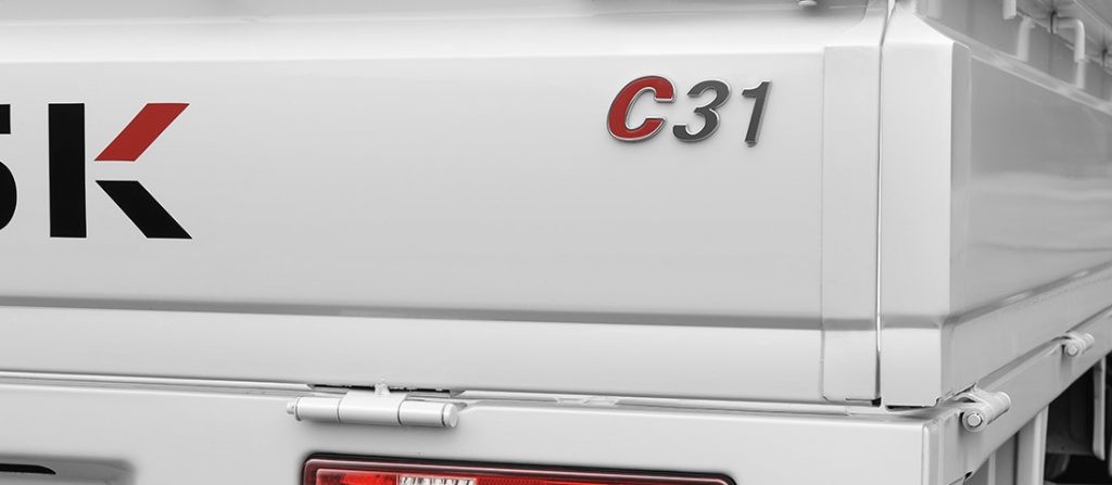 C31