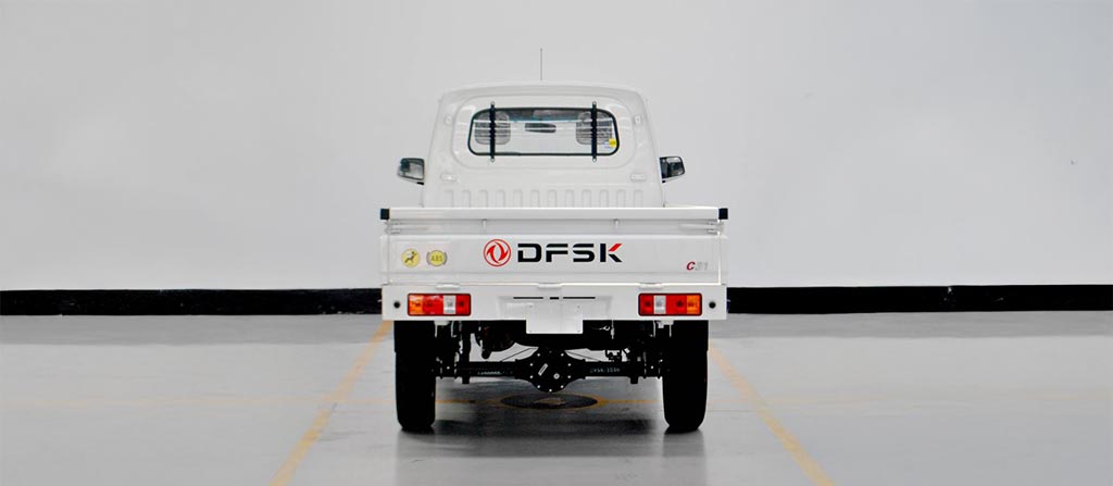 C31