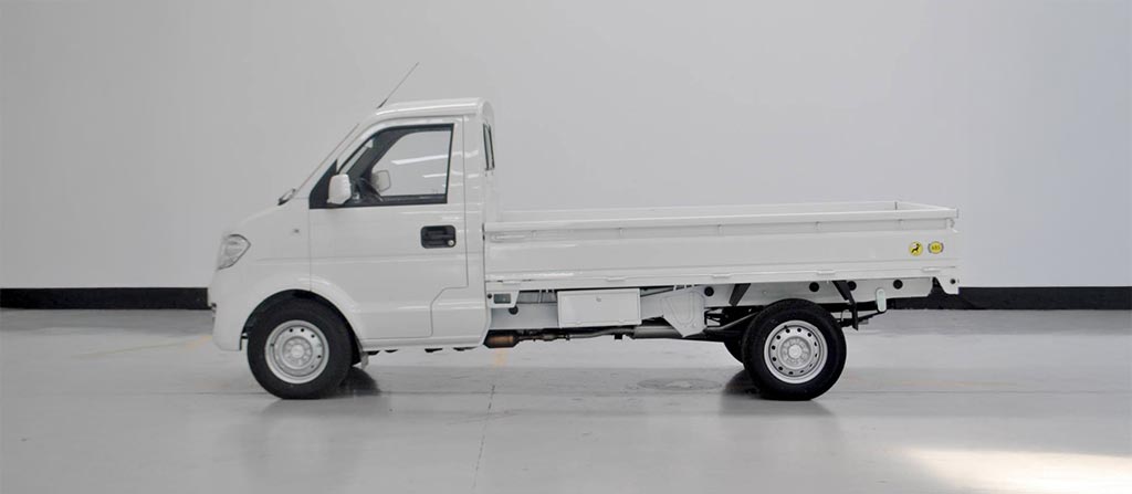 C31